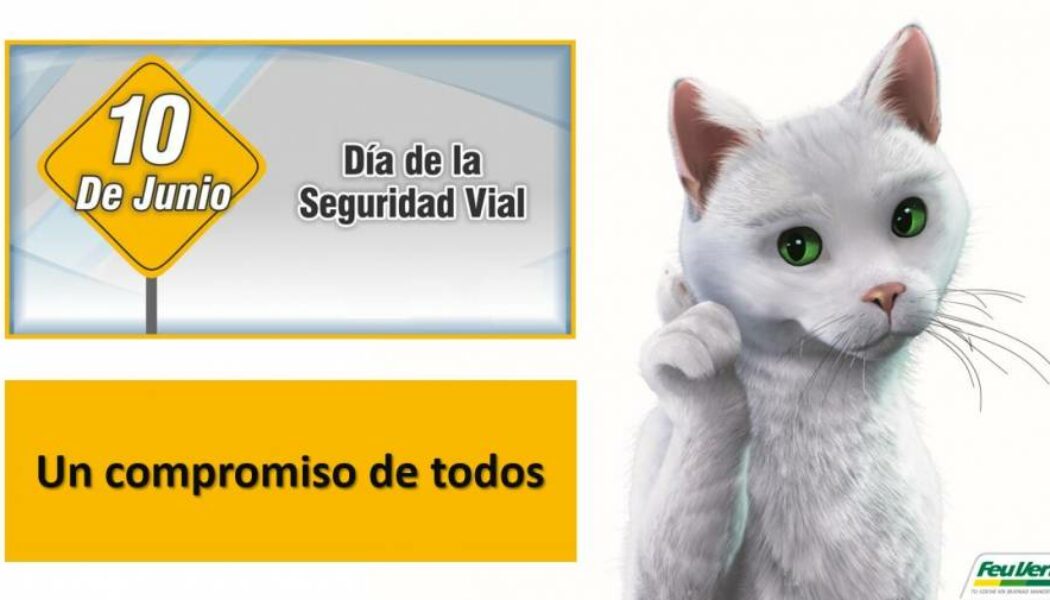 Día Mundial de la Seguridad Vial