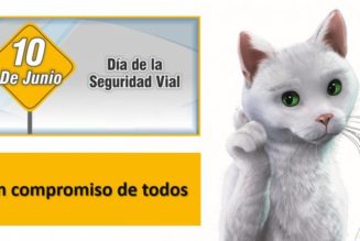 Día Mundial de la Seguridad Vial