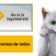 Día Mundial de la Seguridad Vial
