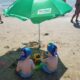 Niños Feu Vert en Marina d’Or