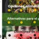 #DíaMundialdelaAlimentación #HambreCero – Recomendaciones FAO