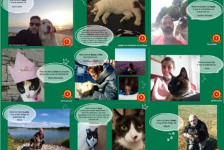 #WORLDANIMALDAY – MASCOTAS FEU VERT