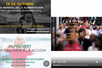 #DÍAMUNDIALDELAALIMENTACIÓN #HAMBRECERO – RECOLECCIÓN DE ALIMENTOS