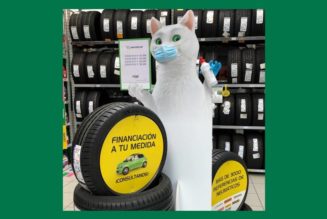 Ramses sigue las normativas