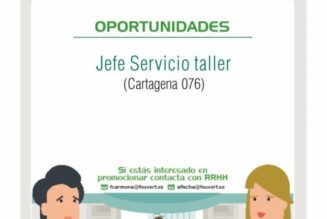 OPORTUNIDADES – JUNIO 2020