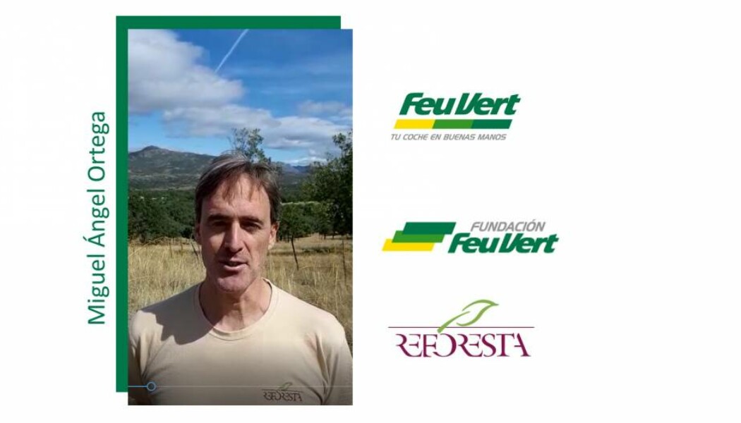 Fundación Feu Vert donará 1.000 euros a Reforesta por los kilómetros recorridos en la SEM2020