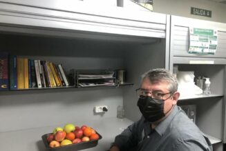 Preparados para el día mundial de la alimentación en el centro de Bilbao (099)