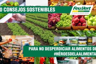 10 consejos sostenibles para no desperdiciar alimentos