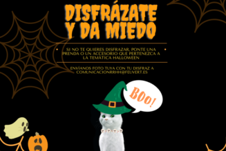 HALLOWEEN EN FEU VERT