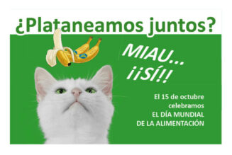 ¿Comemos fruta? Sí UN PLÁTANO POR LA PALMA