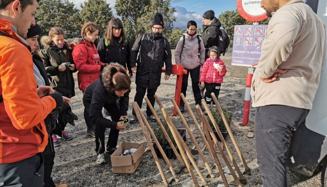II Jornada de Replantación con Voluntarios Reforesta