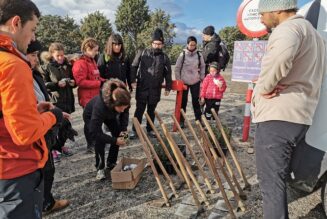 II Jornada de Replantación con Voluntarios Reforesta