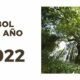 El Carballo del Bosque del banquete de Conxo: Árbol Español del Año 2022
