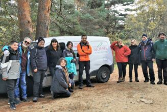 Los voluntarios ambientales de Fundación Feu Vert reanudan sus labores de reforestación