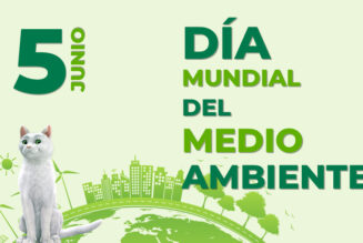 Las claves para contribuir al cuidado del medio ambiente con nuestro coche
