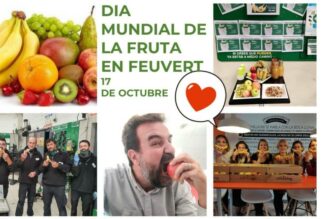 Feu Vert, por una alimentación sana, sostenible y solidaria
