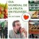 Feu Vert, por una alimentación sana, sostenible y solidaria