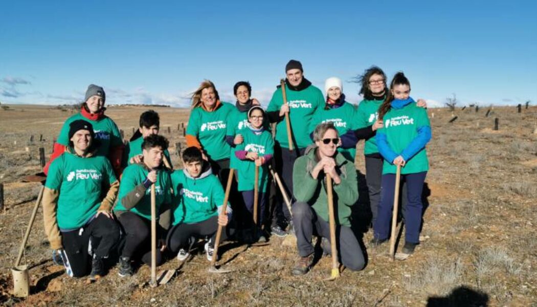 Voluntariado ambiental: continuamos reforestando en la Comunidad de Madrid