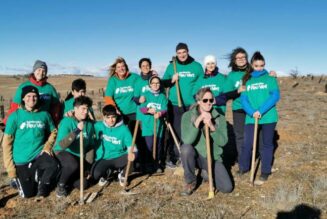 Voluntariado ambiental: continuamos reforestando en la Comunidad de Madrid