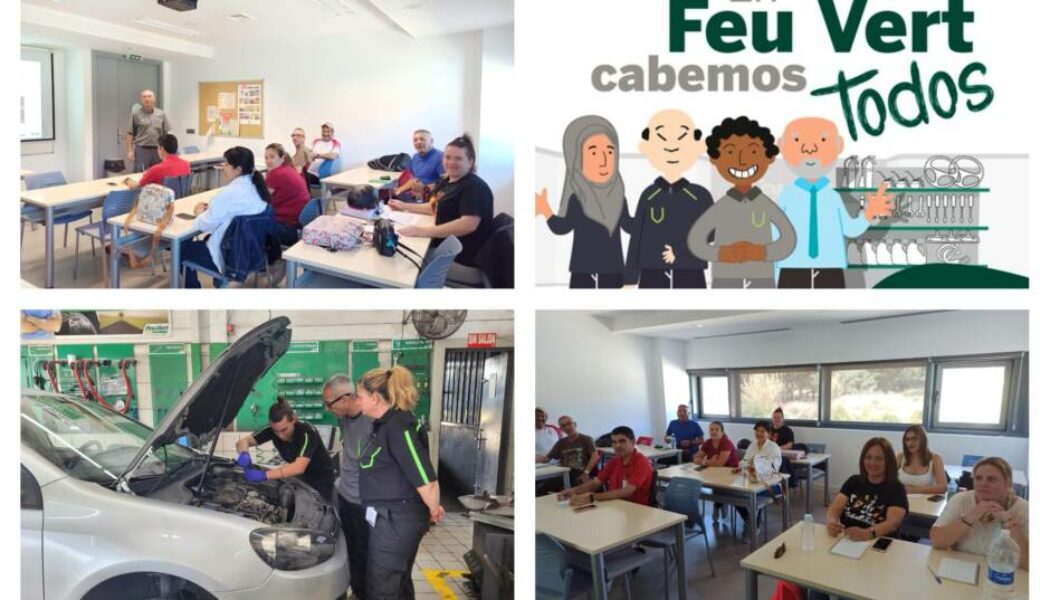 Nuevas alumnas y alumnos de Cruz Roja Alicante, ¡bienvenidas y bienvenidos a Feu Vert!