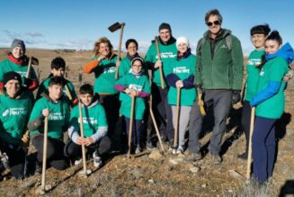 Participa en la jornada de voluntariado ambiental para la plantación de árboles con la ONG Reforesta