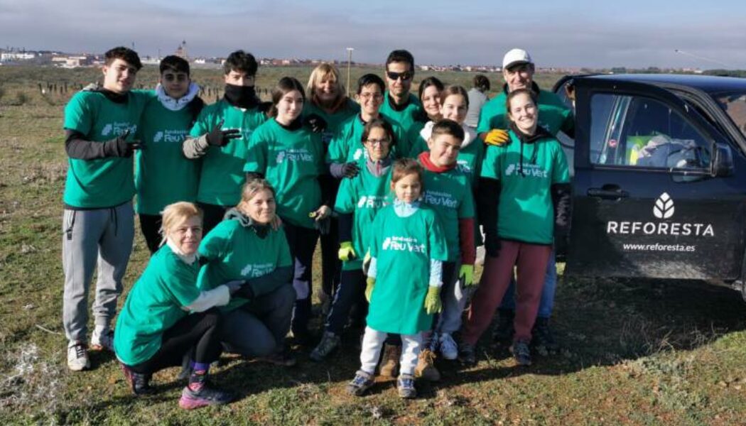 Nos vamos de voluntariado ambiental: Replantación con Reforesta