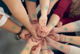Casting Feu Vert 11: Equipo Administración y Finanzas