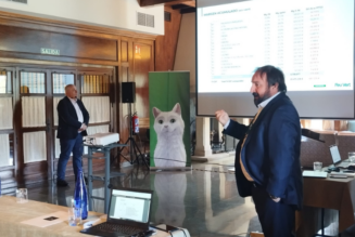 I CONVENCIÓN ESTIVAL (Zona Cervera de Pisuerga, reunión con algún contratiempo)