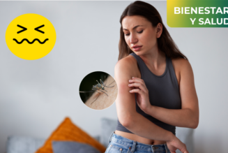 8 consejos para evitar las picaduras de insectos