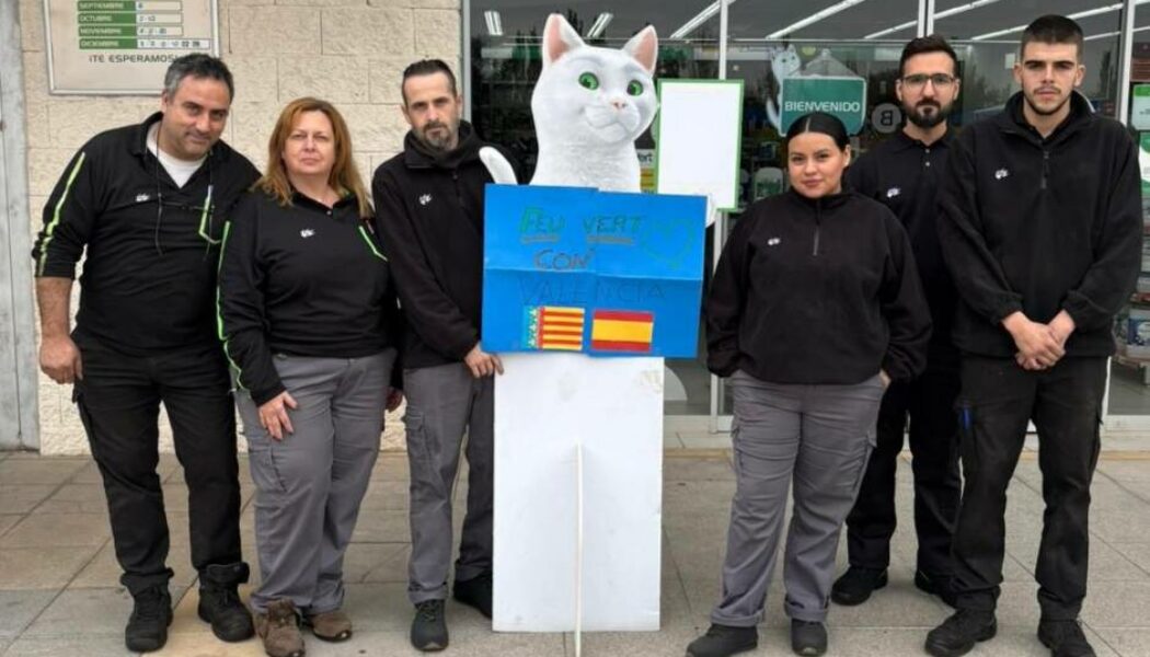 Paro Solidario (8nov. 12h) en CENTRO (galería de imágenes)