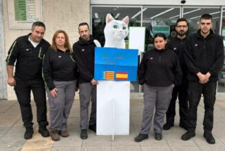 Paro Solidario (8nov. 12h) en CENTRO (galería de imágenes)
