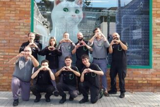 Paro Solidario (8nov. 12h) en NORESTE (galería de imágenes)