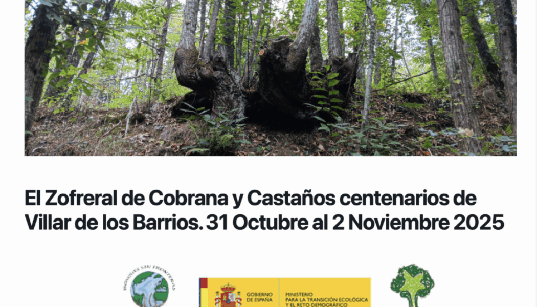 Bosques Sin Fronteras: Viaje a los Bosques del Año 2024 y 2025, ¡no te lo pierdas!