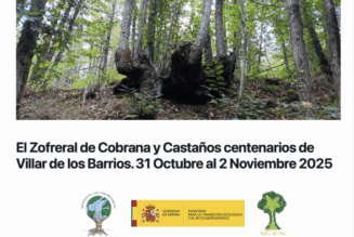 Bosques Sin Fronteras: Viaje a los Bosques del Año 2024 y 2025, ¡no te lo pierdas!