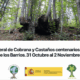 Bosques Sin Fronteras: Viaje a los Bosques del Año 2024 y 2025, ¡no te lo pierdas!